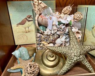Seaside Decor- Seashell Collection, Art & more