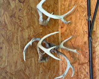 Antlers