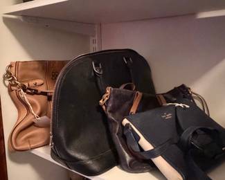 Assorted Designer and Fashion Handbags