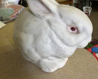 Bunnies