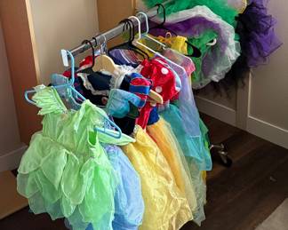 Disney Princess costumes, anyone?