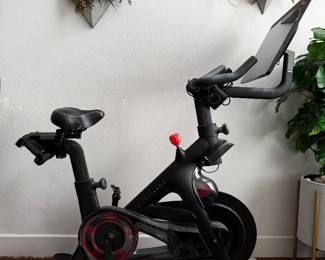 Peleton stationary bike