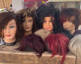 Cosmetology or Halloween heads and hair