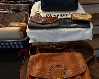 Coach, Brighton, Tory Burch, Dooney