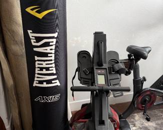 Punching bag, Peleton and rowing machine