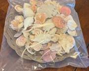 Shells