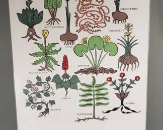 252 Lot 103 Serigraph poster print Herbarium Latinus,