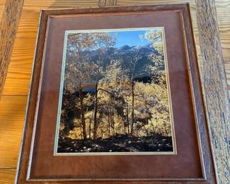 ar Signed Nature Photograph by Suzann Bron