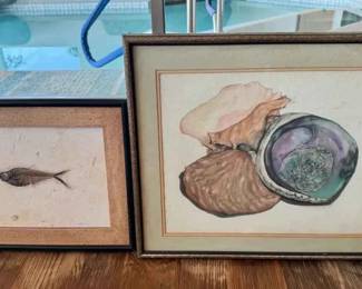 SM322Framed Eocene Diplomystus Fish Fossil Plaque And Abalone Shell Watercolor Art Painting