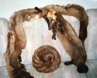 Mink