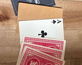 Magic Act 10 The Flying Ace Playing Cards