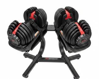 Bowflex SelectTech BD552 Adjustable Dumbbells with Stand