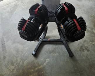 Bowflex SelectTech BD552 Adjustable Dumbbells with Stand