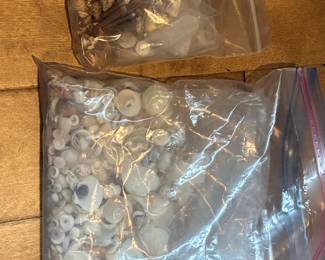 Assorted Natural Seashell Collection - Bulk Craft & Decor