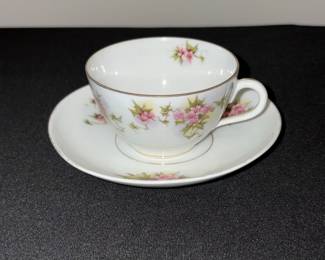 Antique Silesia Porcelain Teacup and Saucer