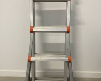 Little Giant Velocity Model 17 Multi-Position Ladder