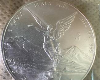 Libertad Silver Coin