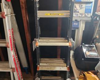 Little Giant Dark Horse 2.0 ladder