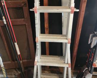 Little Giant ladder