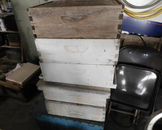 Bee Hive