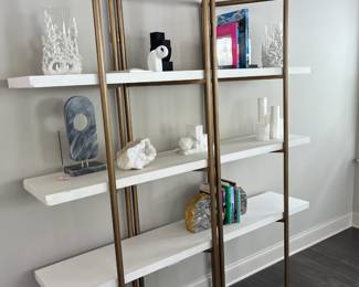 Kupa Bookcase with Brass Frames