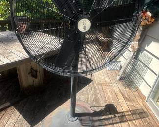 Fan