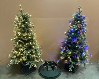 Christmas Tree Duo
