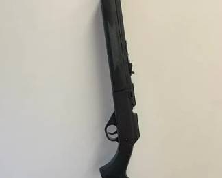 Daisy Powerline 35 BB Gun