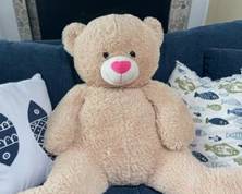 Teddy bear