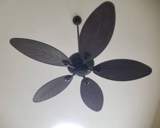 Ceiling fan
