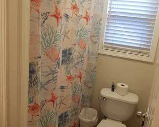 Shower curtain; toilet
