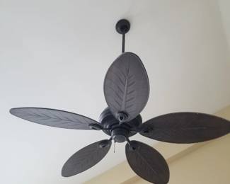 Ceiling fan