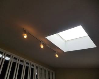 Track lights