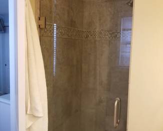 Glass shower door