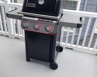 Weber grill