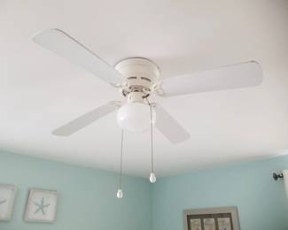 Lighted ceiling fan