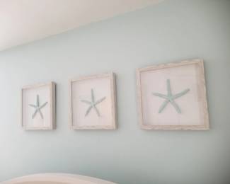 Starfish art