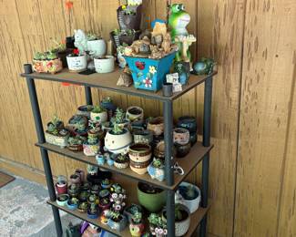 Pots and Plants