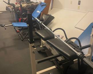 Full workout bench. All parts for one price.