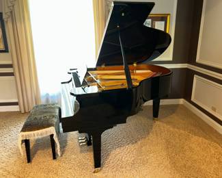 Wurlitzer Baby Grand C173 (played in video) $2,400