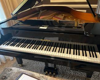 Wurlitzer Baby Grand C173 (played in video) $2,400