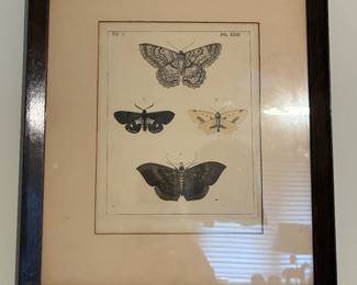 Framed Art