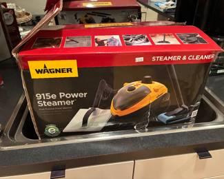 Steam Cleaner