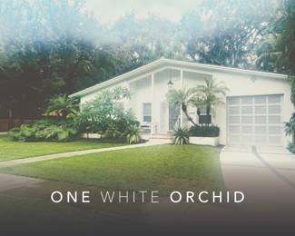 ENCHANTING COCONUT GROVE ESTATE SALE