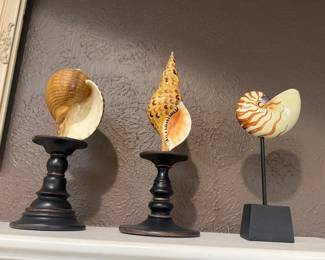 Shells