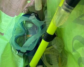 Scuba, snorkel gear