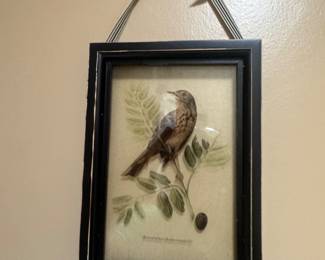 Birdie