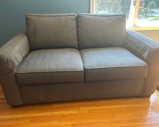 SMALL COUCH ~ $100