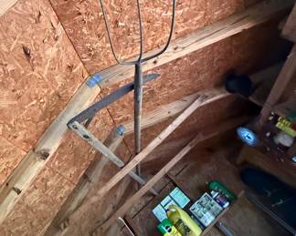 More In the rafters 