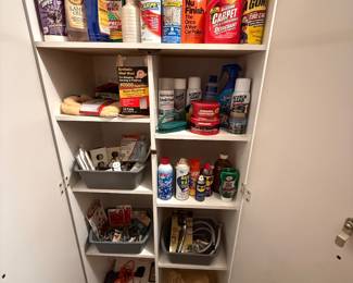 With cleaners and various supplies 